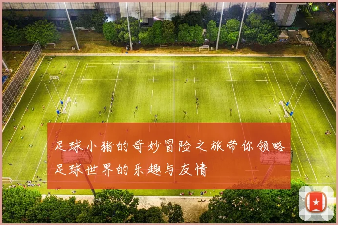 足球小猪的奇妙冒险之旅带你领略足球世界的乐趣与友情