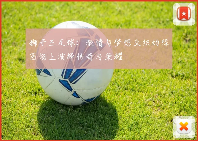 狮子王足球：激情与梦想交织的绿茵场上演绎传奇与荣耀