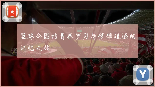 篮球公园的青春岁月与梦想追逐的记忆之旅